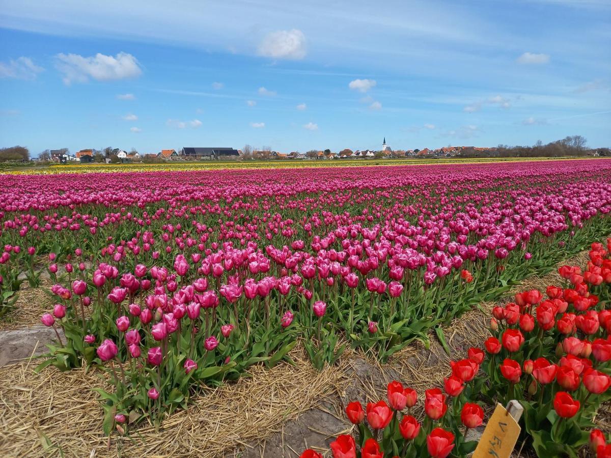 Bed En Breakfast Kamers En Meer Het Spookhuis Den Hoorn  Esterno foto